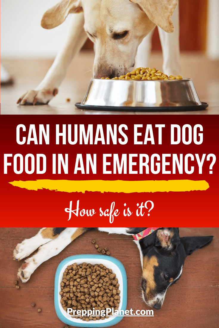 Can Humans Eat Dog Food In An Emergency