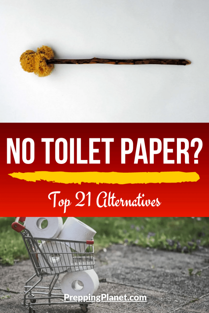 No toilet paper? ( Top 21 Alternatives ) » Prepping