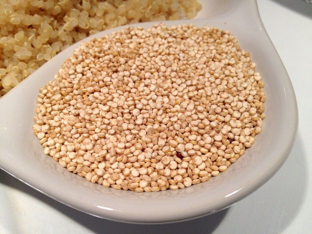 Quinoa VS Rice ( Top 10 Differences ) » Prepping